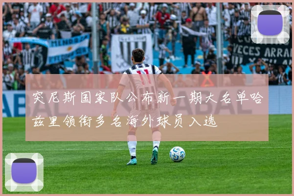 突尼斯国家队公布新一期大名单哈兹里领衔多名海外球员入选