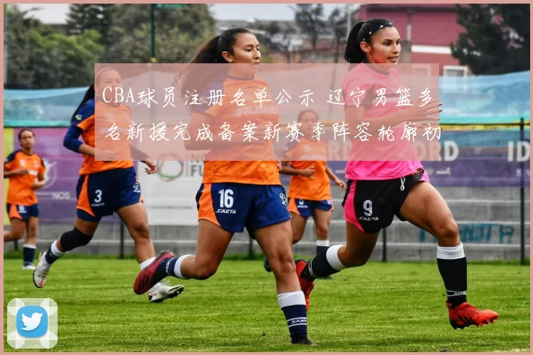 CBA球员注册名单公示 辽宁男篮多名新援完成备案新赛季阵容轮廓初现