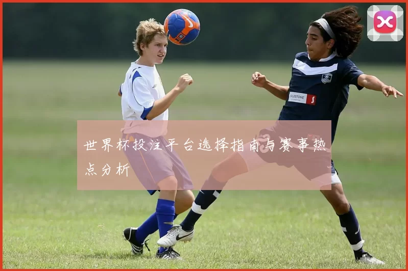 世界杯投注平台选择指南与赛事热点分析