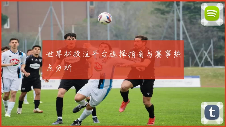 世界杯投注平台选择指南与赛事热点分析