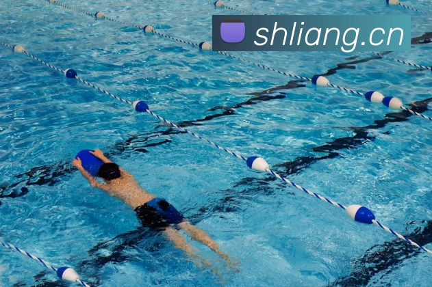 App Interface Preview